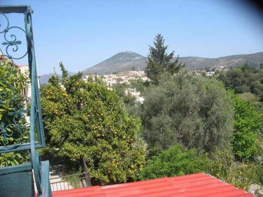 Maison Traditionnelle Sur Les Collines Nicoises * Nizza