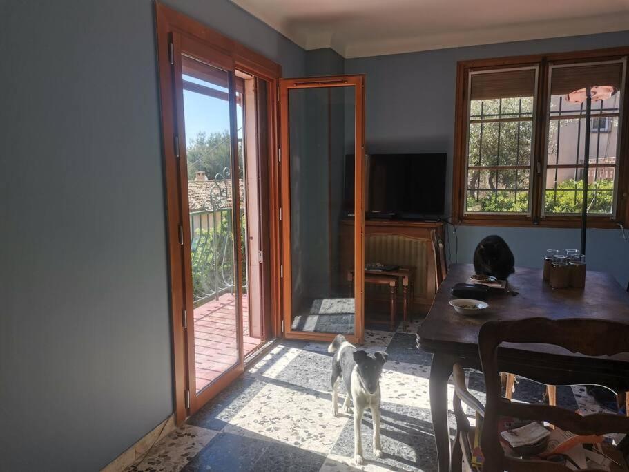 Maison Traditionnelle Sur Les Collines Nicoises Nizza